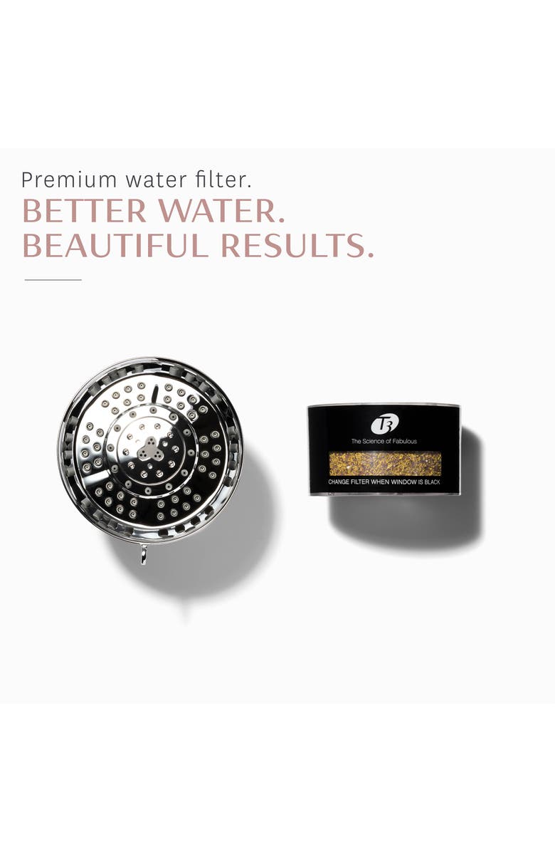 T3 Source Showerhead Shower Filter, Alternate, color,