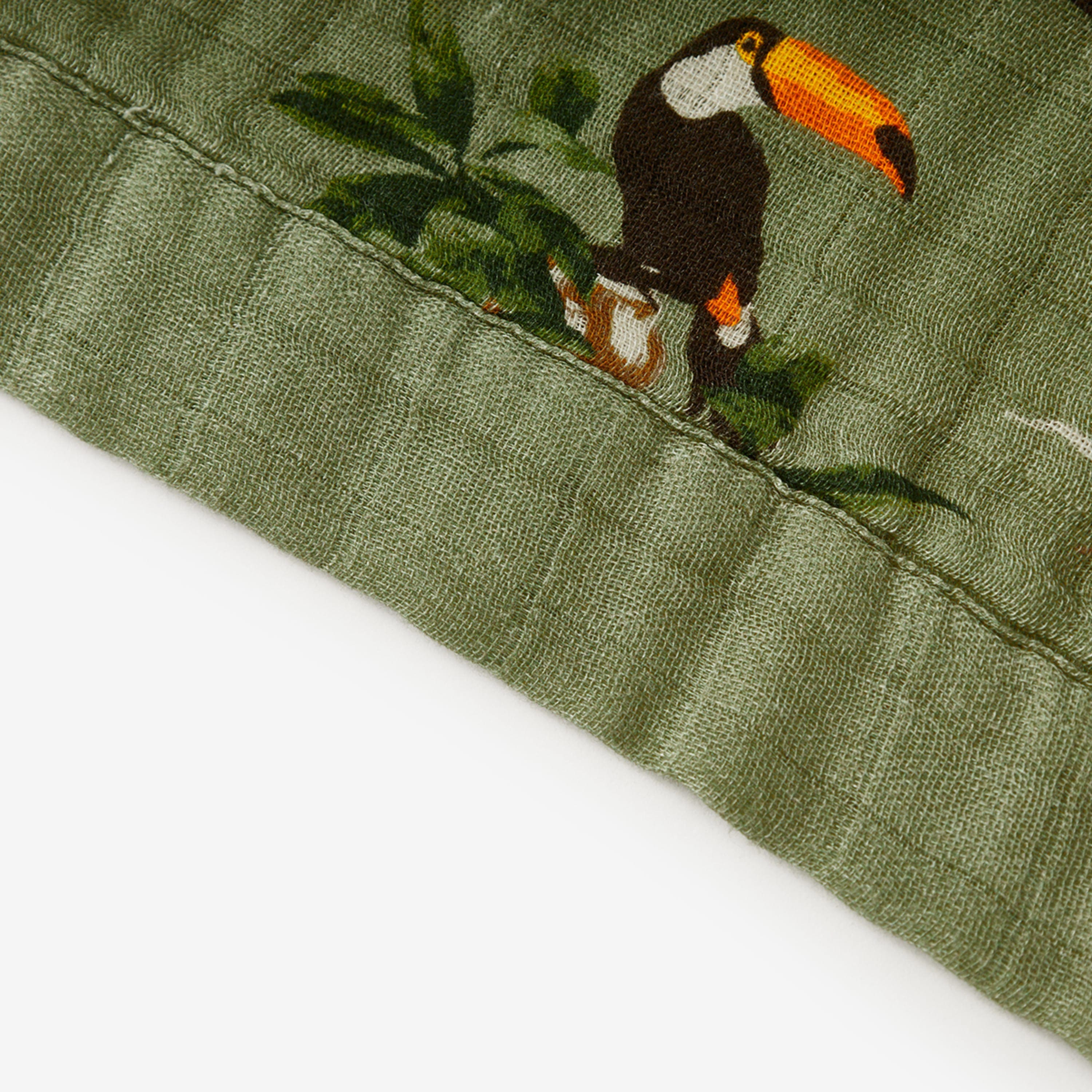 Toucan