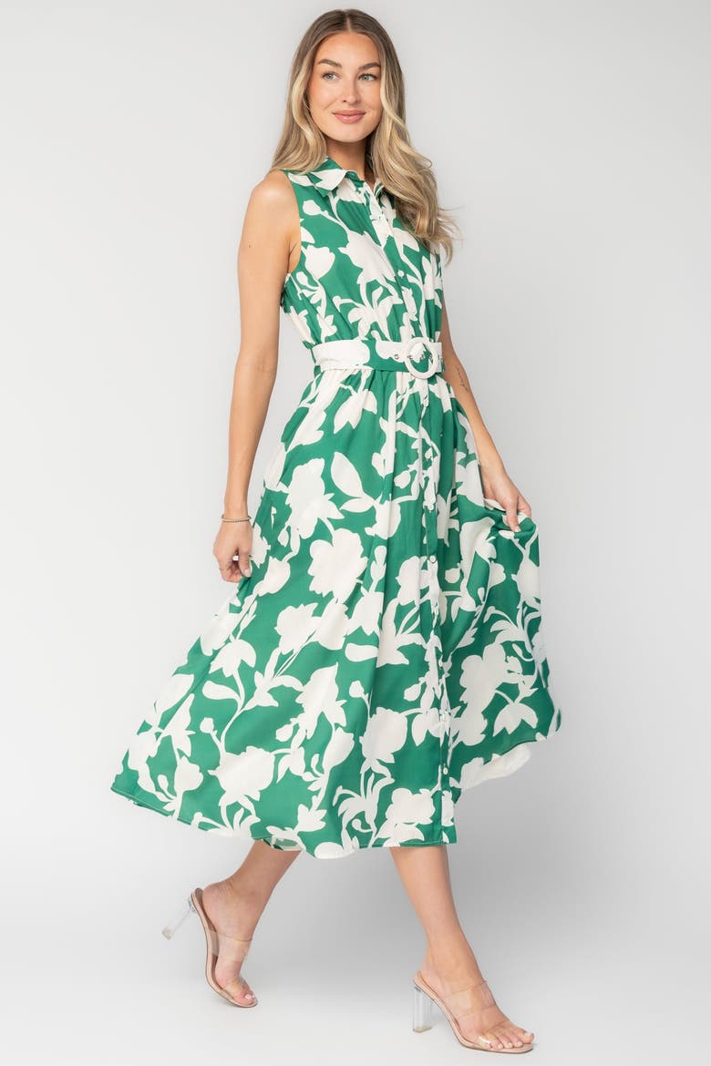 Tatum Button Down Dress, Alternate, color, Green + Off White