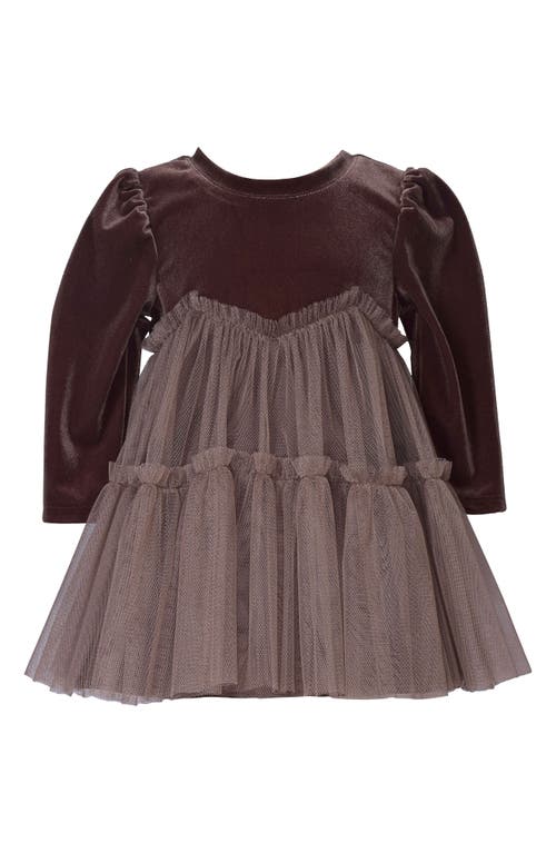 Iris & Ivy Kids' Long Sleeve Velvet & Tulle Party Dress in Brown 