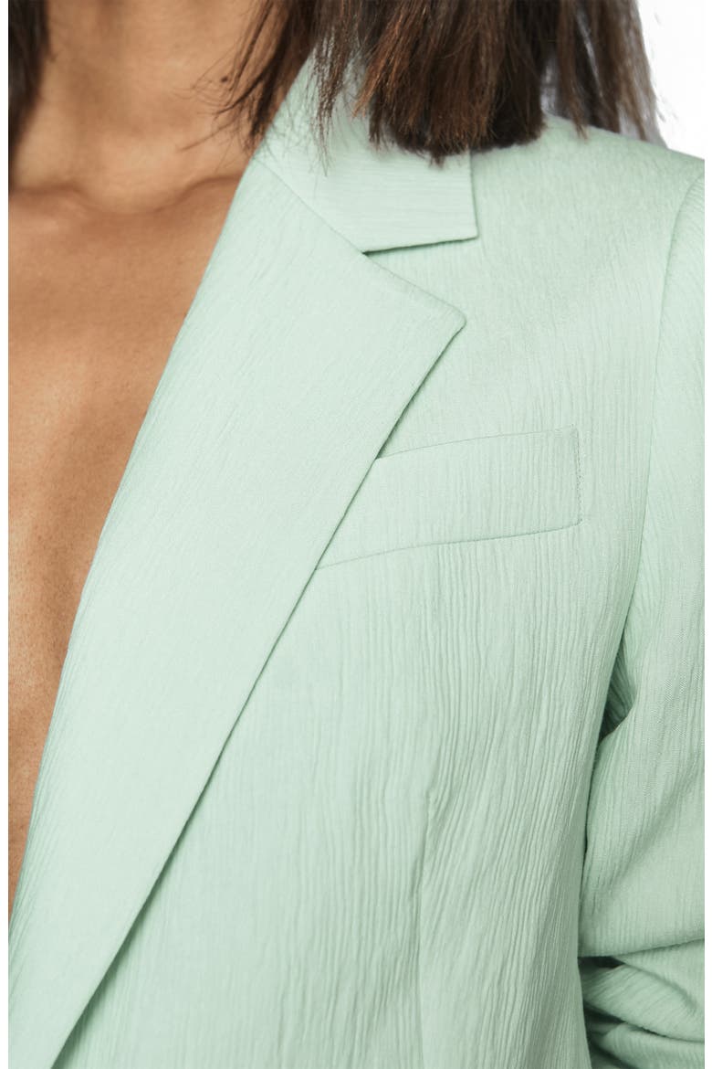 Lana Textured Jacket, Alternate, color, PALE GREEN