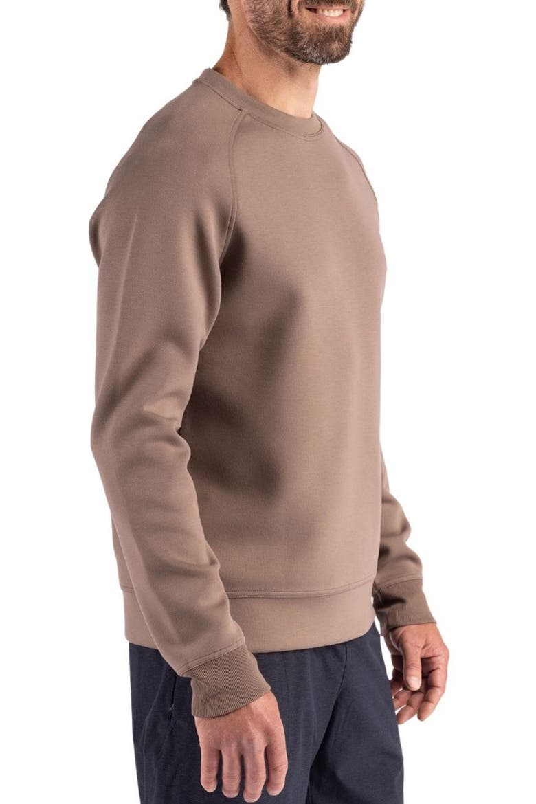 Roam Crewneck Pullover, Alternate, color, MUSHROOM