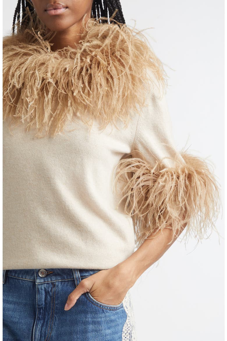 Feather Trim Short Sleeve Cashmere Sweater, Alternate, color, BEIGE