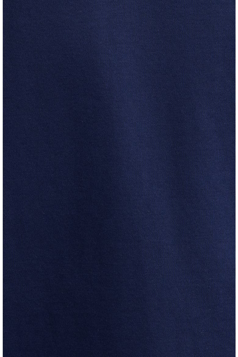 Damaschino Wrinkle Free Polo, Alternate, color, NAVY