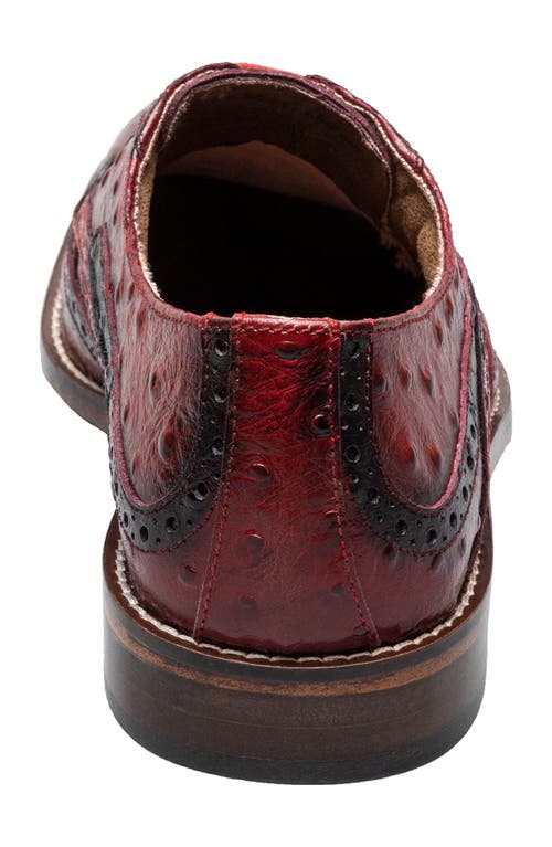Stacy Adams Gennaro Wingtip Derby In Red