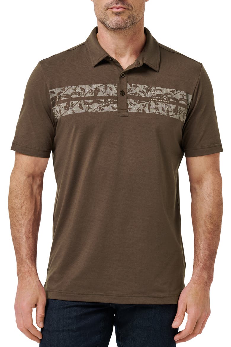 Orchard Walk Floral Stripe Polo, Main, color, CHOCOLATE