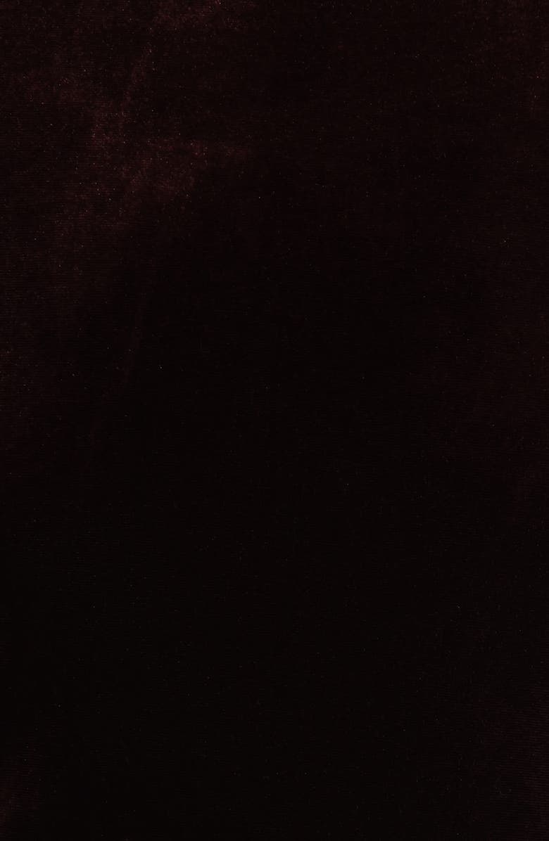 Petal & Pup Twylar Long Sleeve Velvet Minidress, Alternate, color, Brown