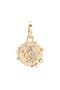  14K Yellow Gold-Capricorn