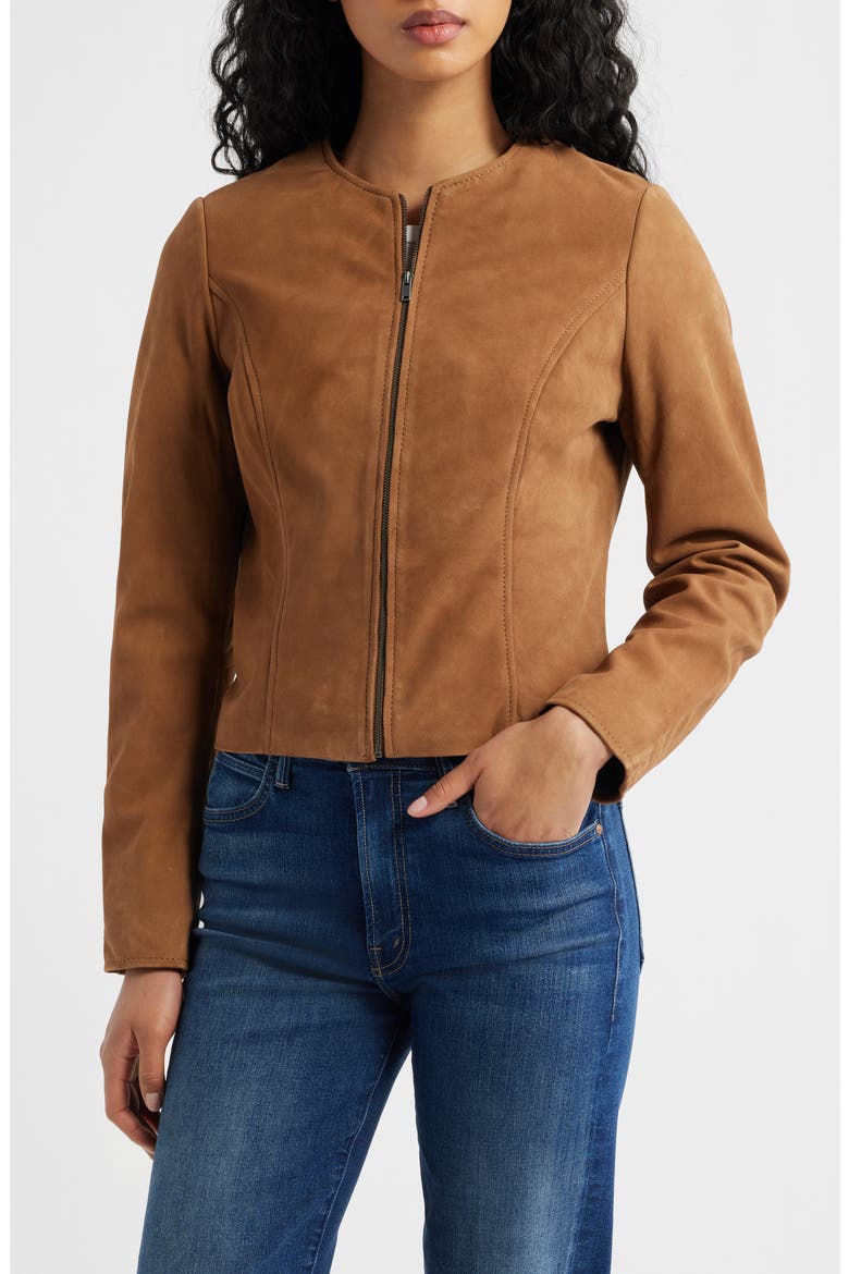 Quynn Suede Jacket, Alternate, color, DARK CAMEL