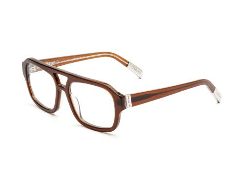Caddis Neta | Reading Glasses In Brown