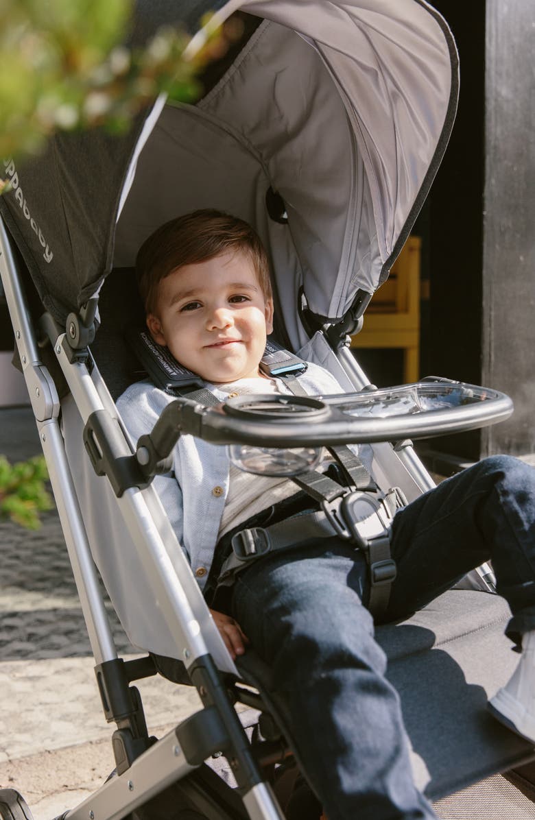 UPPAbaby MINU Stroller Snack Tray, Alternate, color, Clear