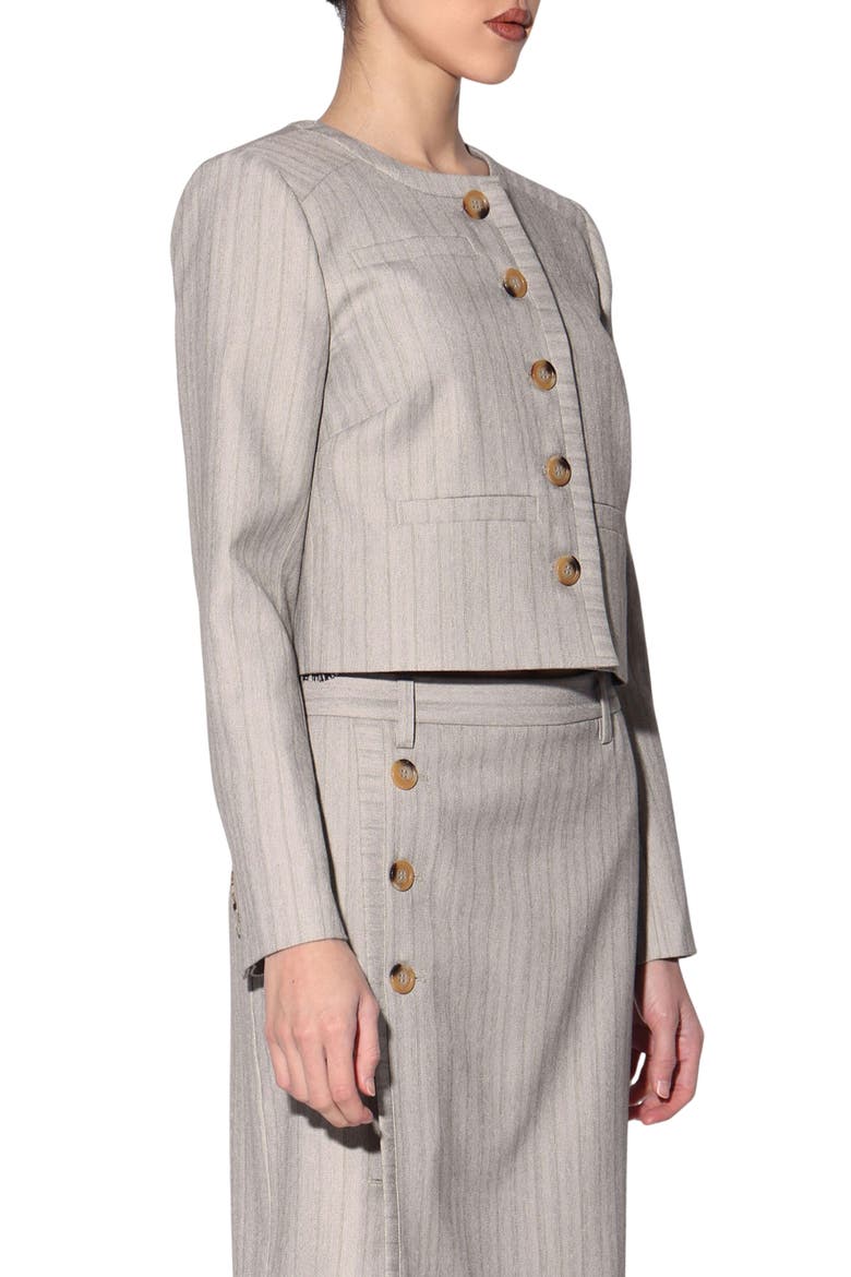 Trina Pinstripe Cropped Jacket, Alternate, color, TAUPE STRIPE