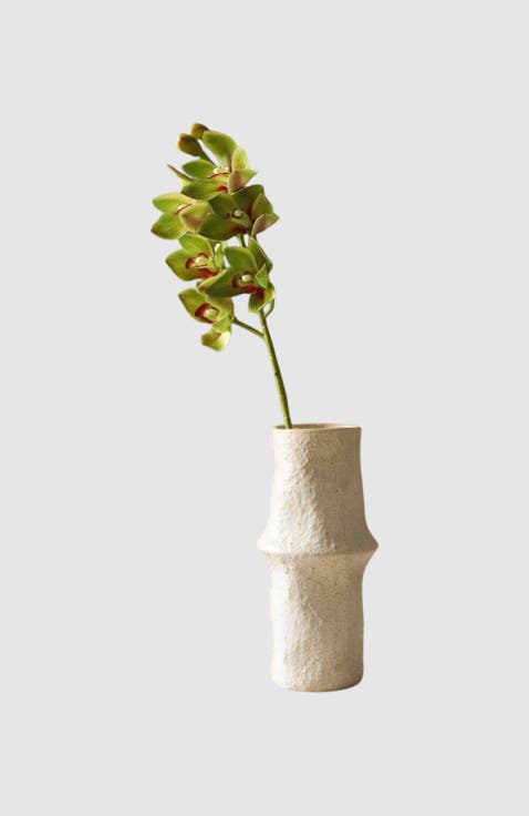 Light Green Cymbidium Orchid Flower