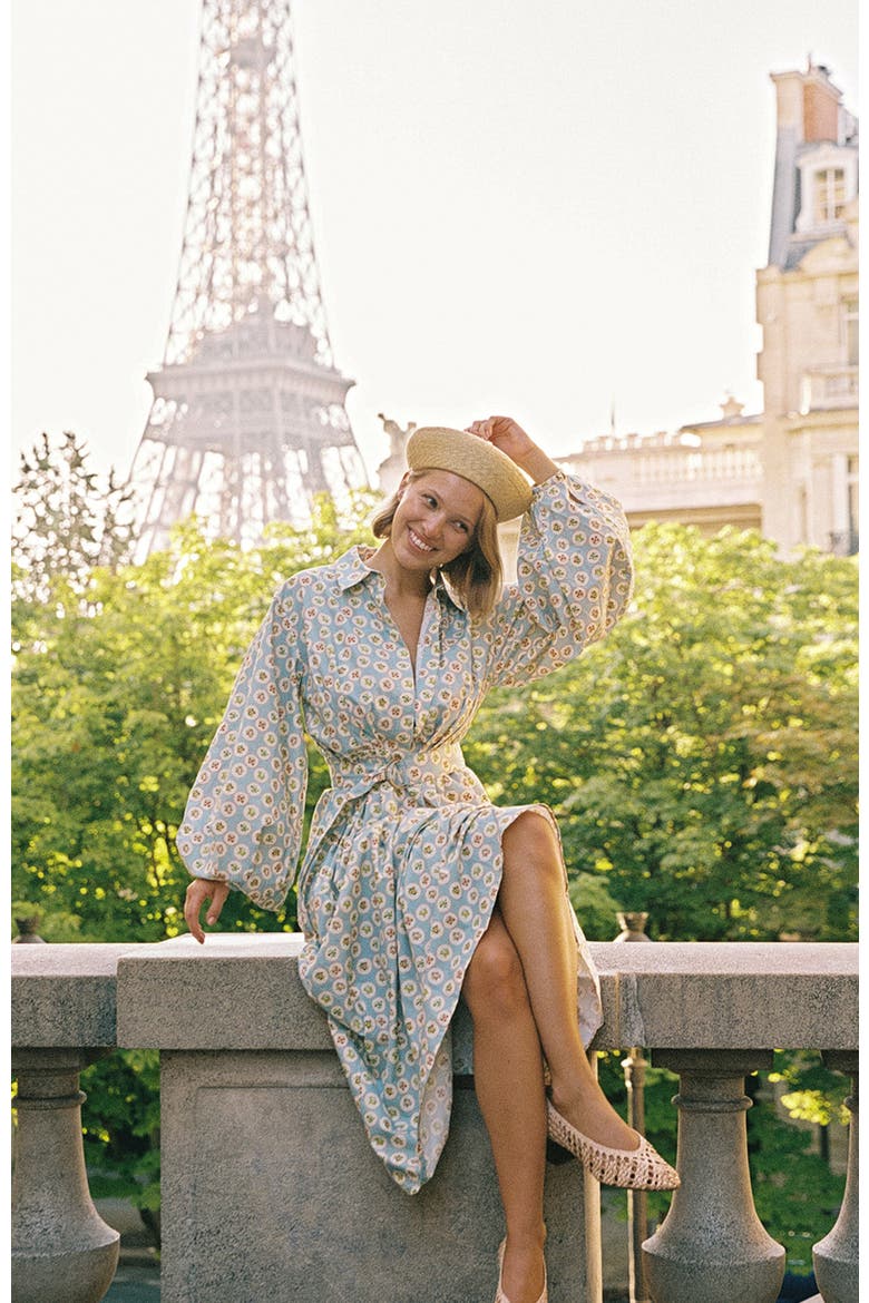 Emily Shirt Dress, Alternate, color, Tarda