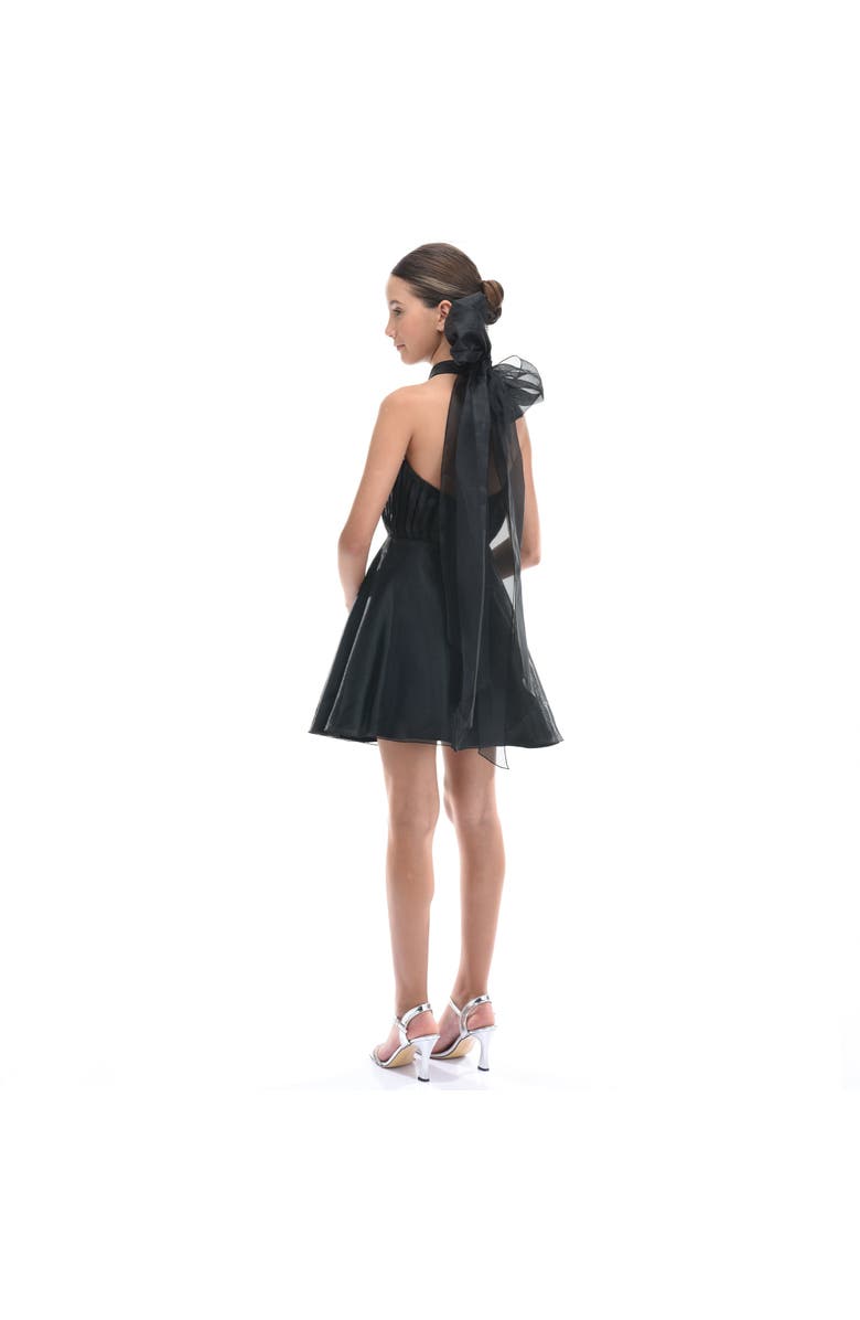 Tulleen Tivoli Dress, Alternate, color, Black