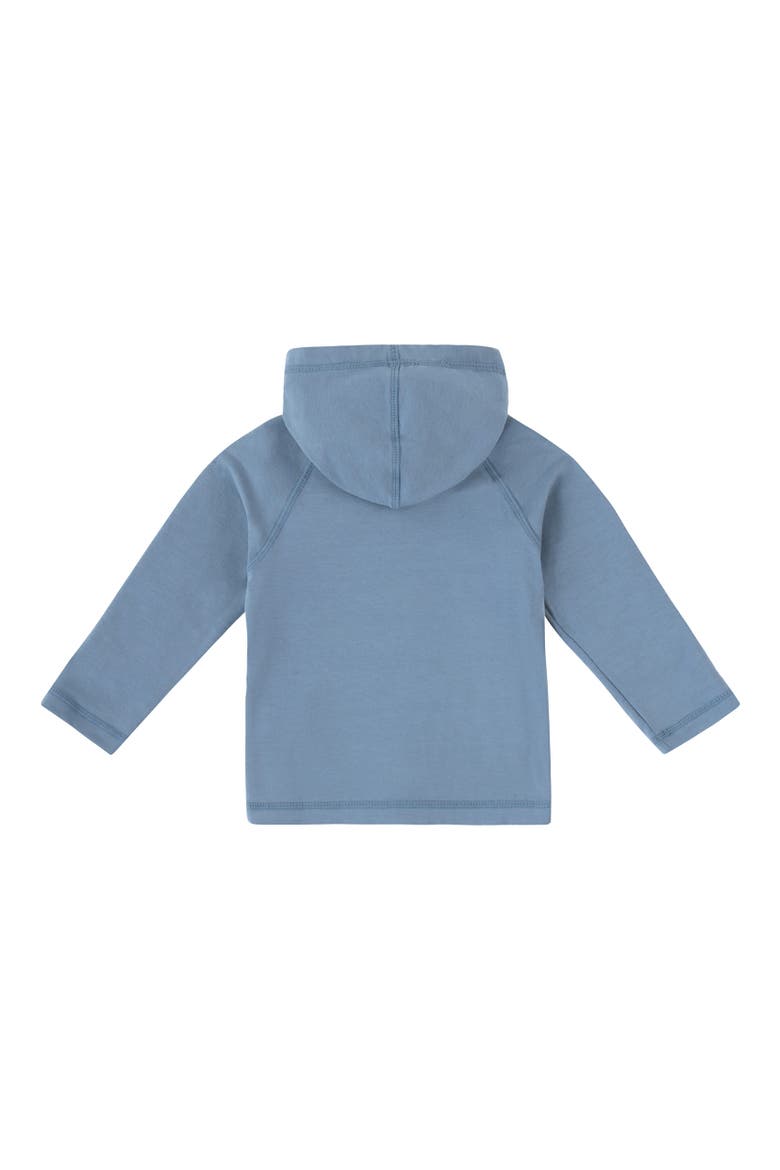 Everyday Hooded Jacket, Alternate, color, Baltic