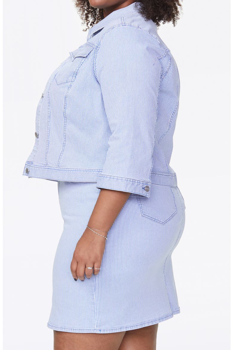 Stripe Slim Trucker Jacket, Alternate, color, TRELLA