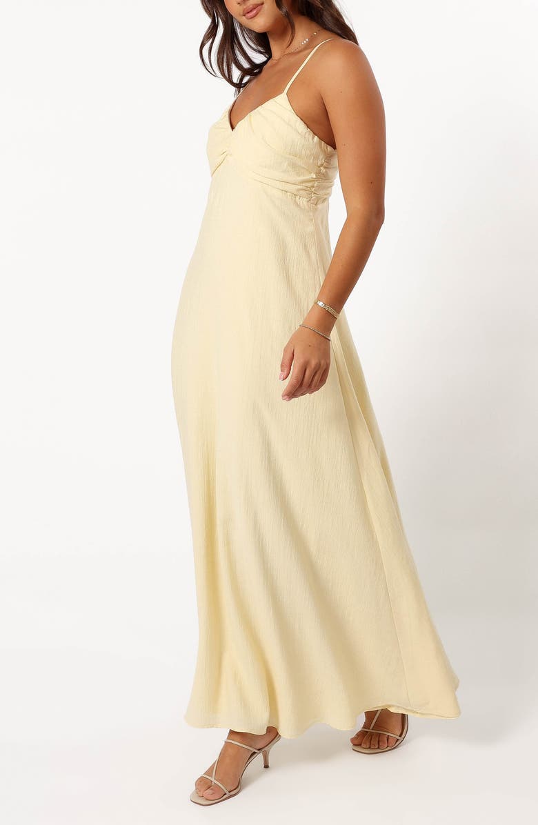 Petal & Pup Maddie Sleeveless Maxi Dress, Alternate, color, 