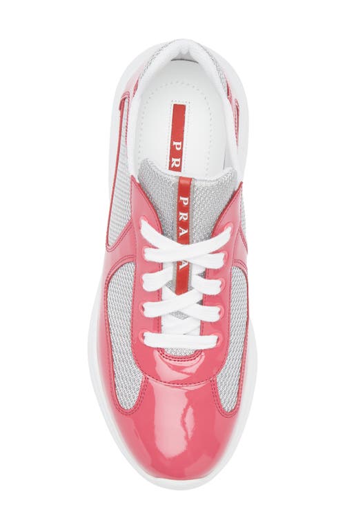 Prada America's Cup Sneaker