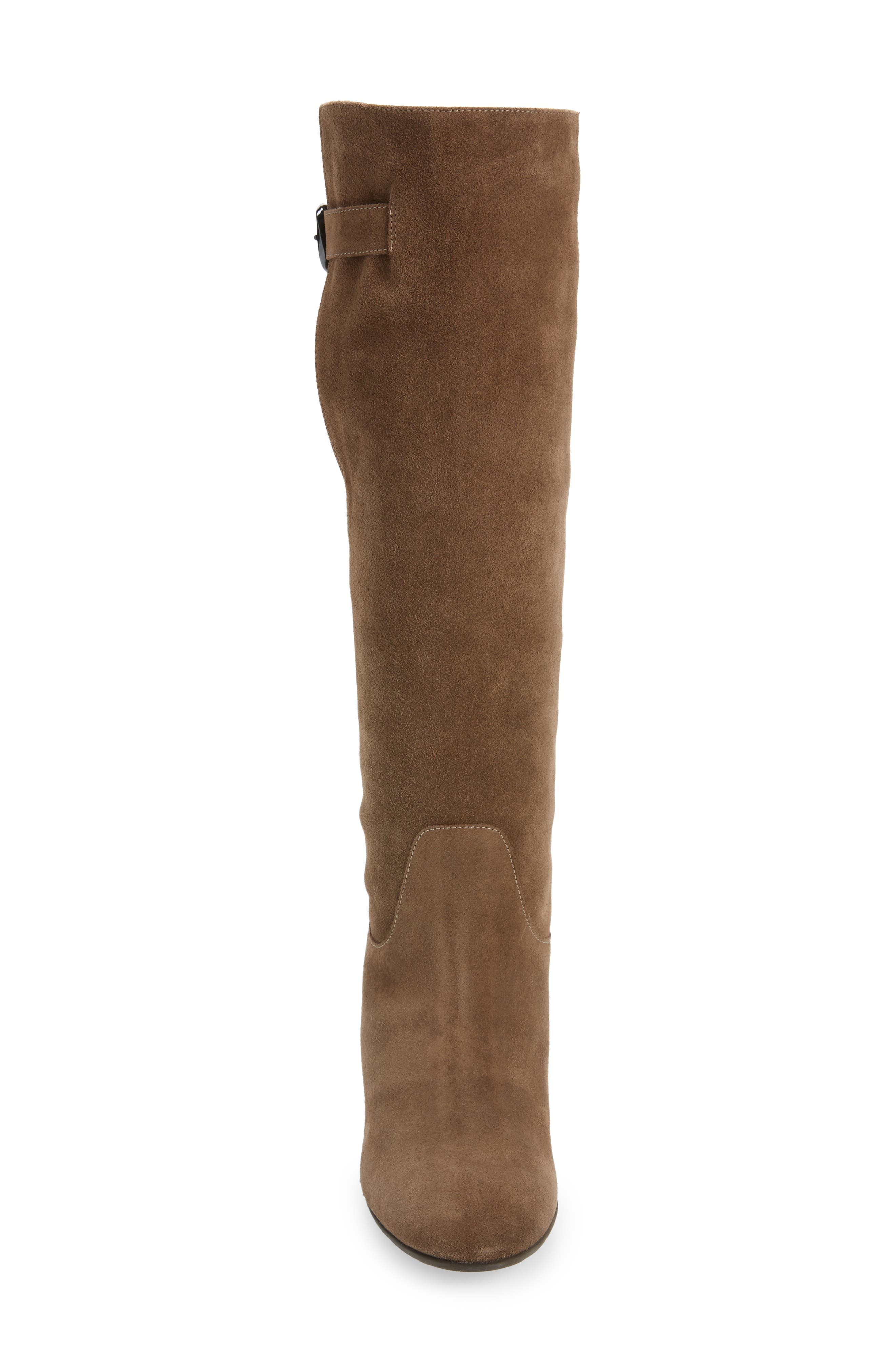Fabrianna Water Resistant Boot, Alternate, color, TAUPE SUEDE
