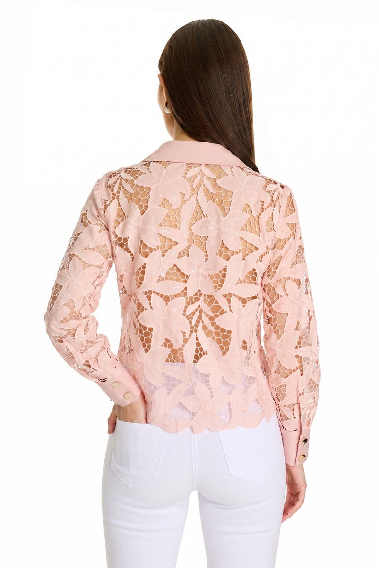 Mina Lace Blouse, Alternate, color, Blush