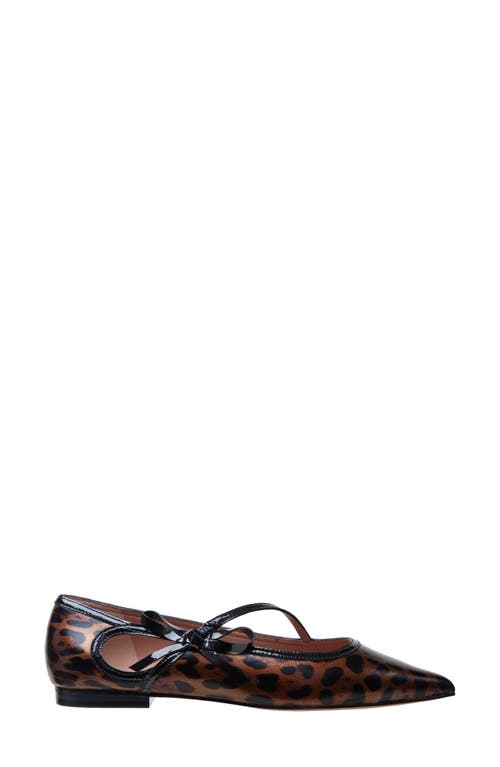 Linea Paolo Nuri Bow Pointed Toe Patent Flat In Multi