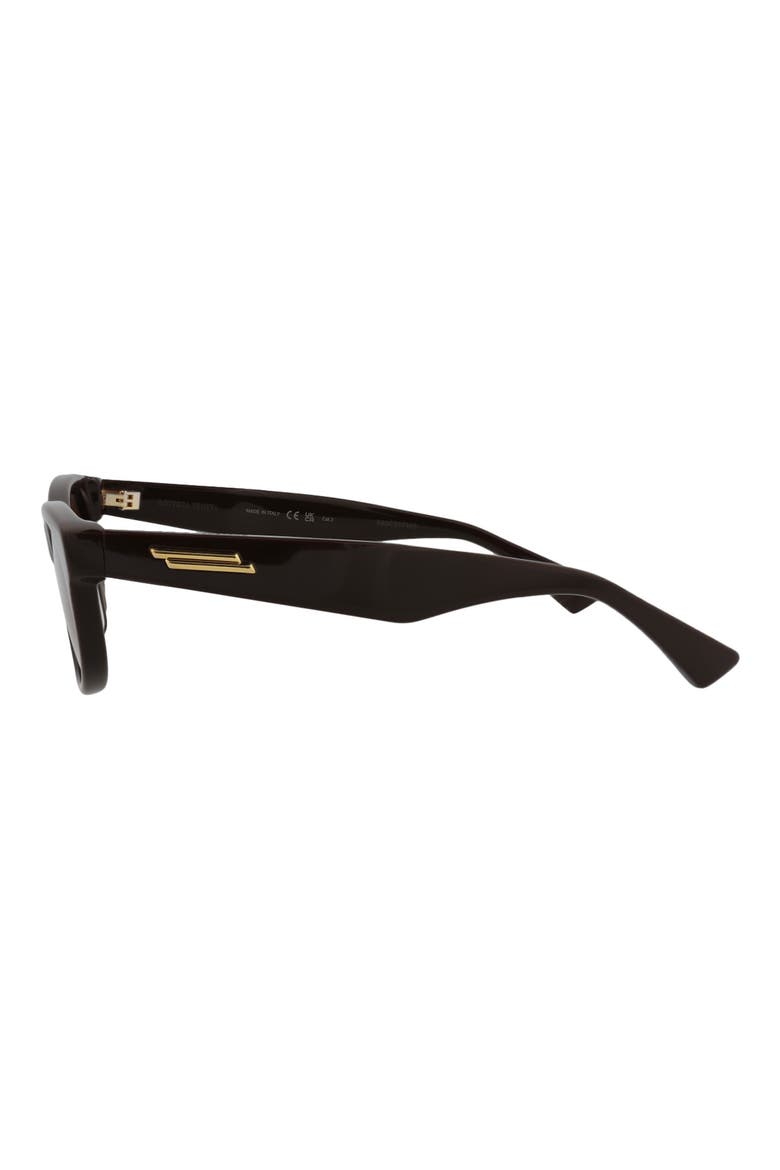53mm Oval Sunglasses, Alternate, color, BROWN BROWN BROWN