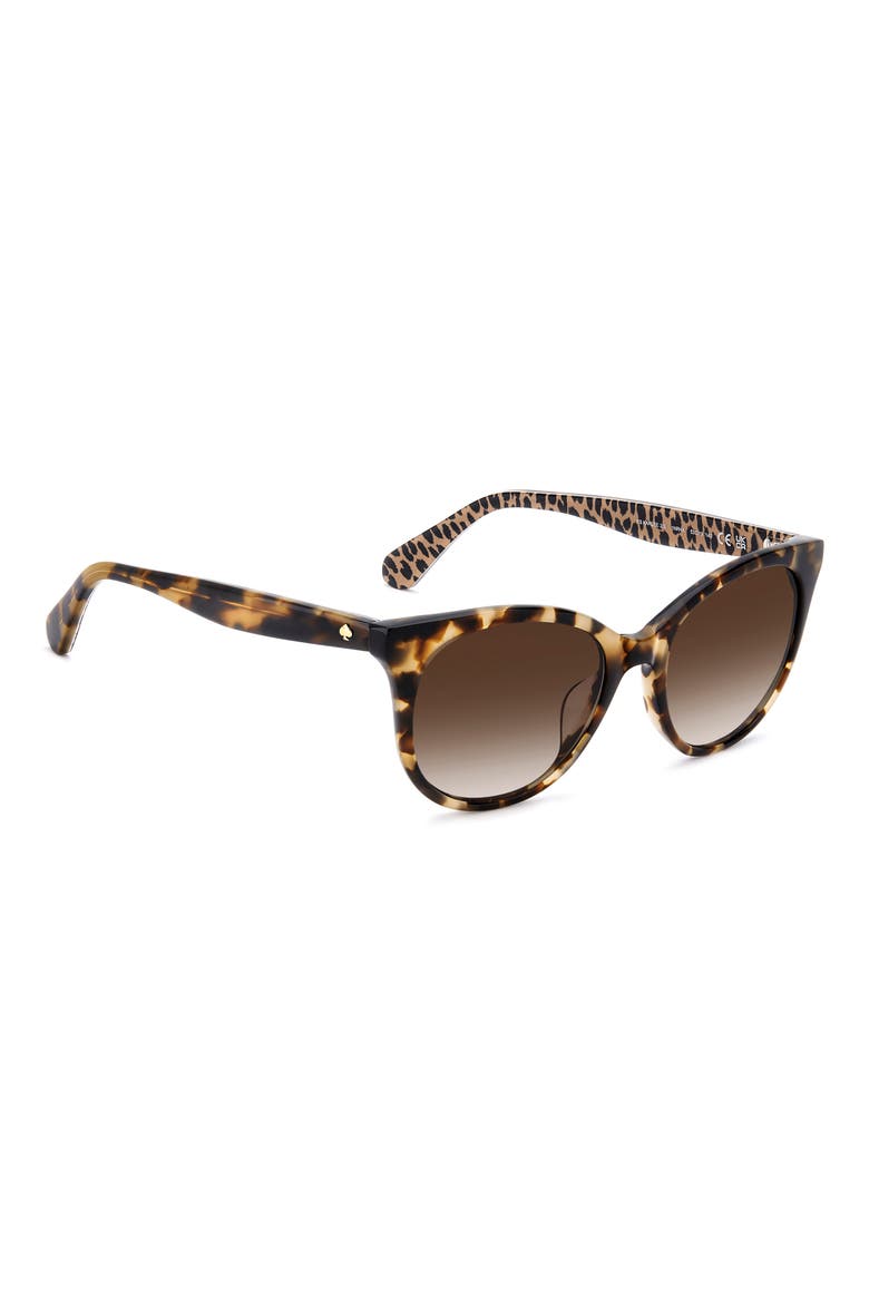 karlee 53mm gradient round sunglasses, Alternate, color, HAVANA / BROWN