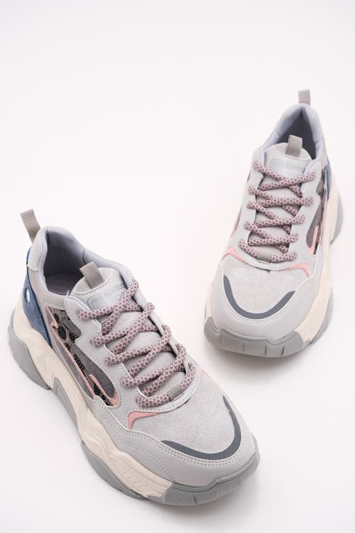 Prologue Shoes Europa Sneakers In Multi