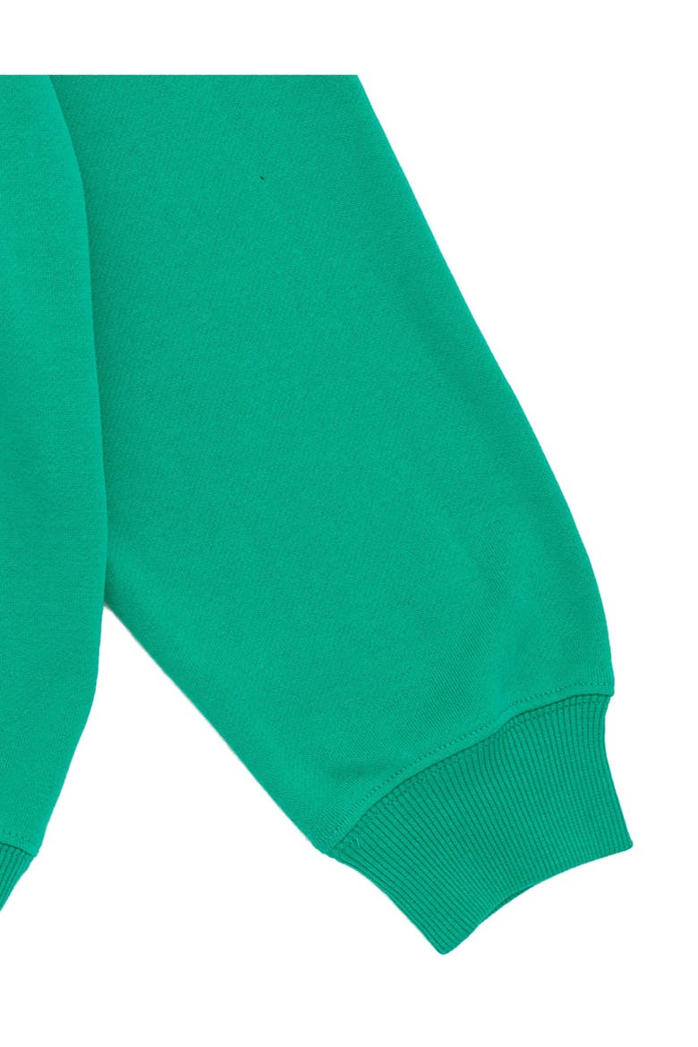 Fleece Crewneck Pullover, Alternate, color, Emerald Green