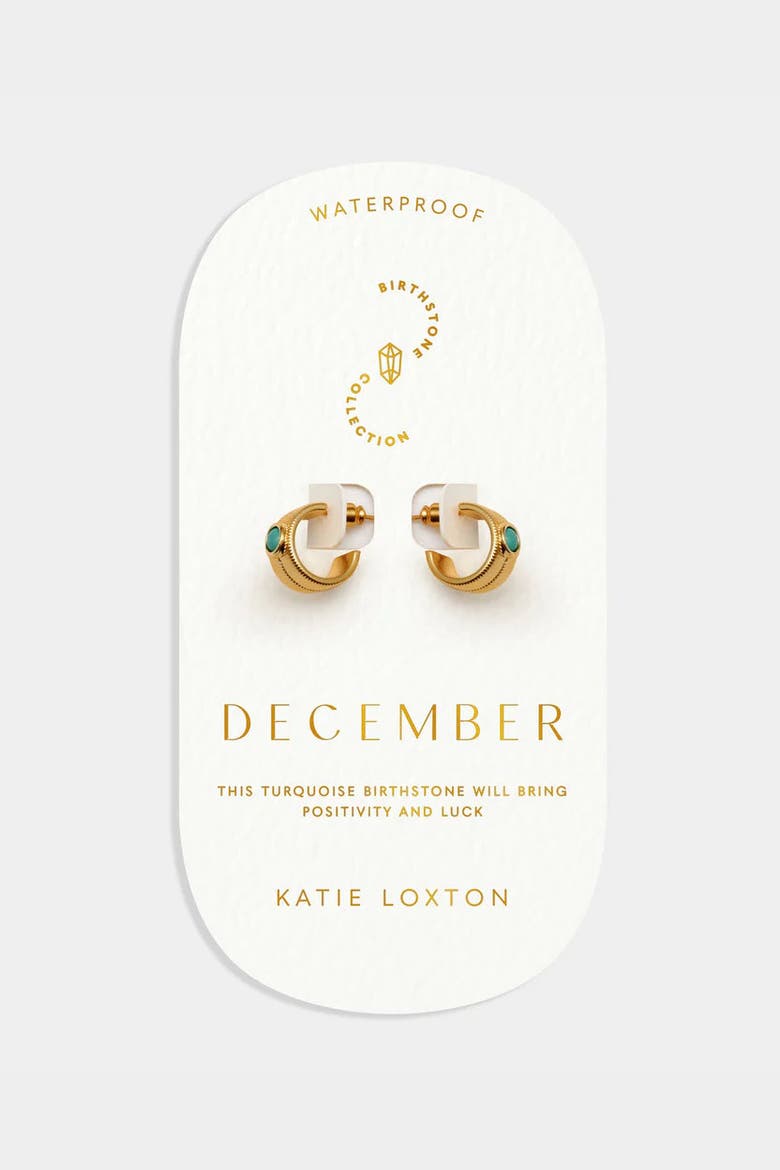'December' Waterproof Gold Birthstone Hoop Earrings, Main, color, December