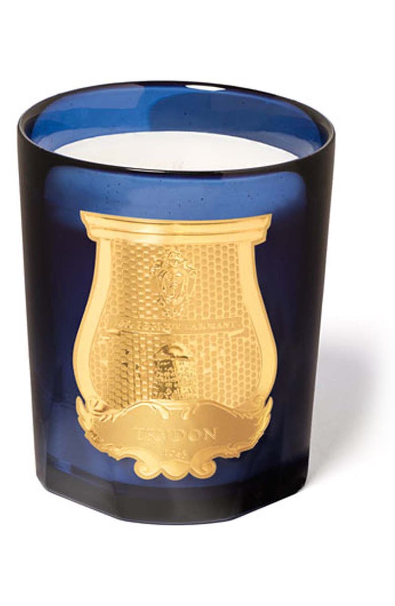 Trudon Salta Grapefruit Candle, Main, color,