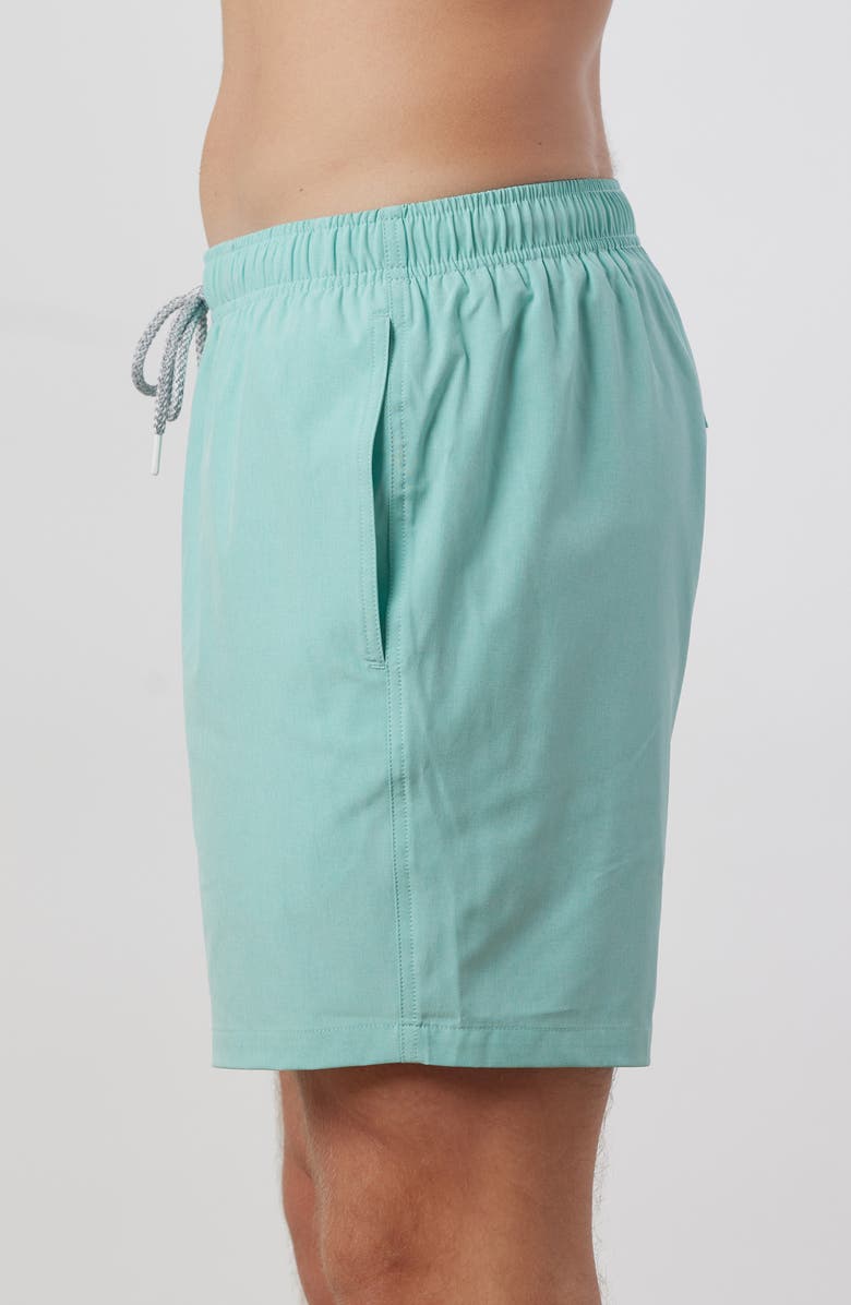 Rainforest Not Your Average Solid Swim Trunks, Alternate, color, Aruba Blue