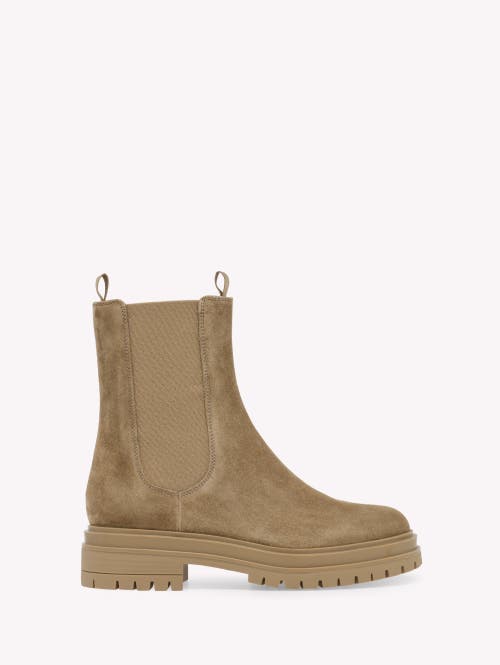 Gianvito Rossi Chelsea Suede Ankle Boots In Brown