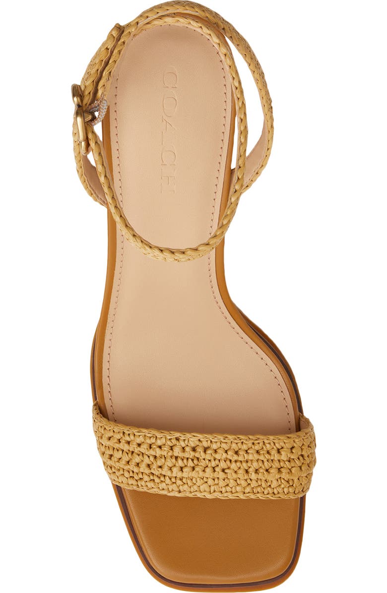 COACH Tea Rose Raffia Platform Ankle Strap Sandal, Alternate, color, Natural