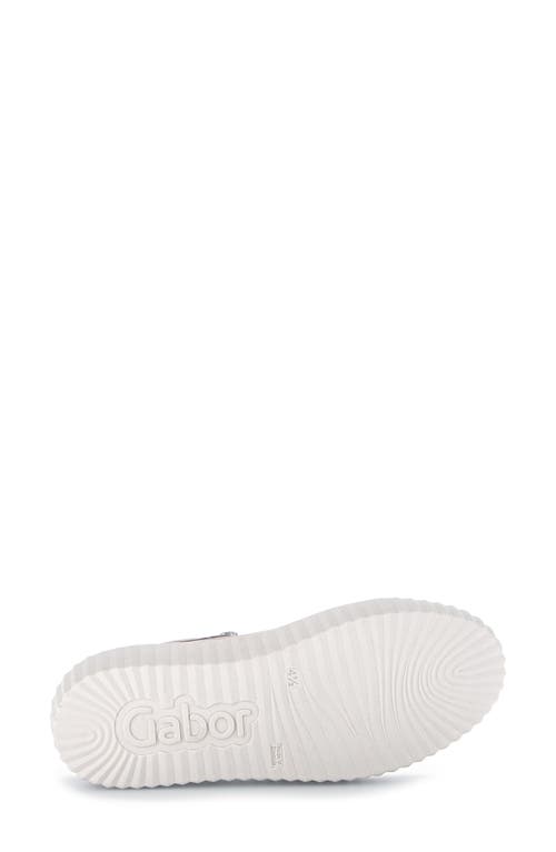 Gabor 43.200 Platform Sneaker In Creme