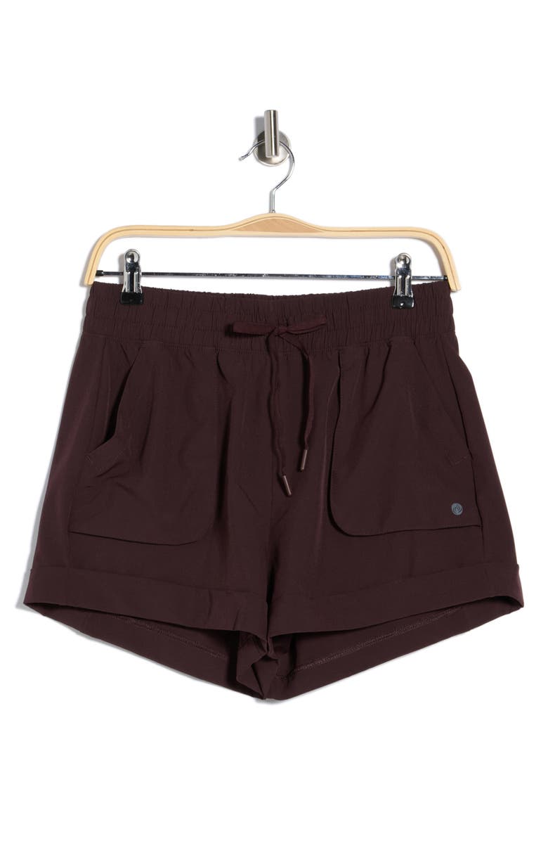 APANA Expedition Shorts, Main, color, Brown
