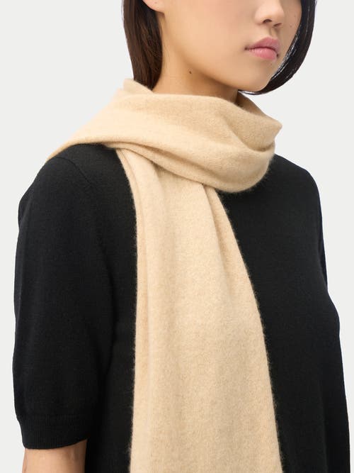 Gobi Cashmere Cashmere Jersey Knit Scarf In Neutral