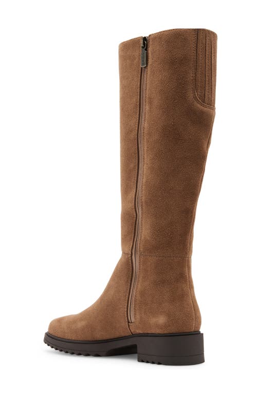 Blondo Colorado Waterproof Knee High Riding Boot In Tan Suede