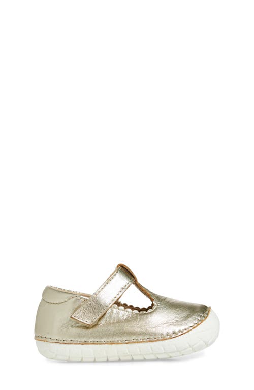 Old Soles Pave T-strap Sneaker In Gold