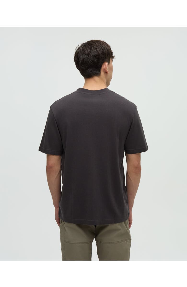 tentree Regenerative Lake Life Portal T-Shirt, Alternate, color, Graphite/Clay