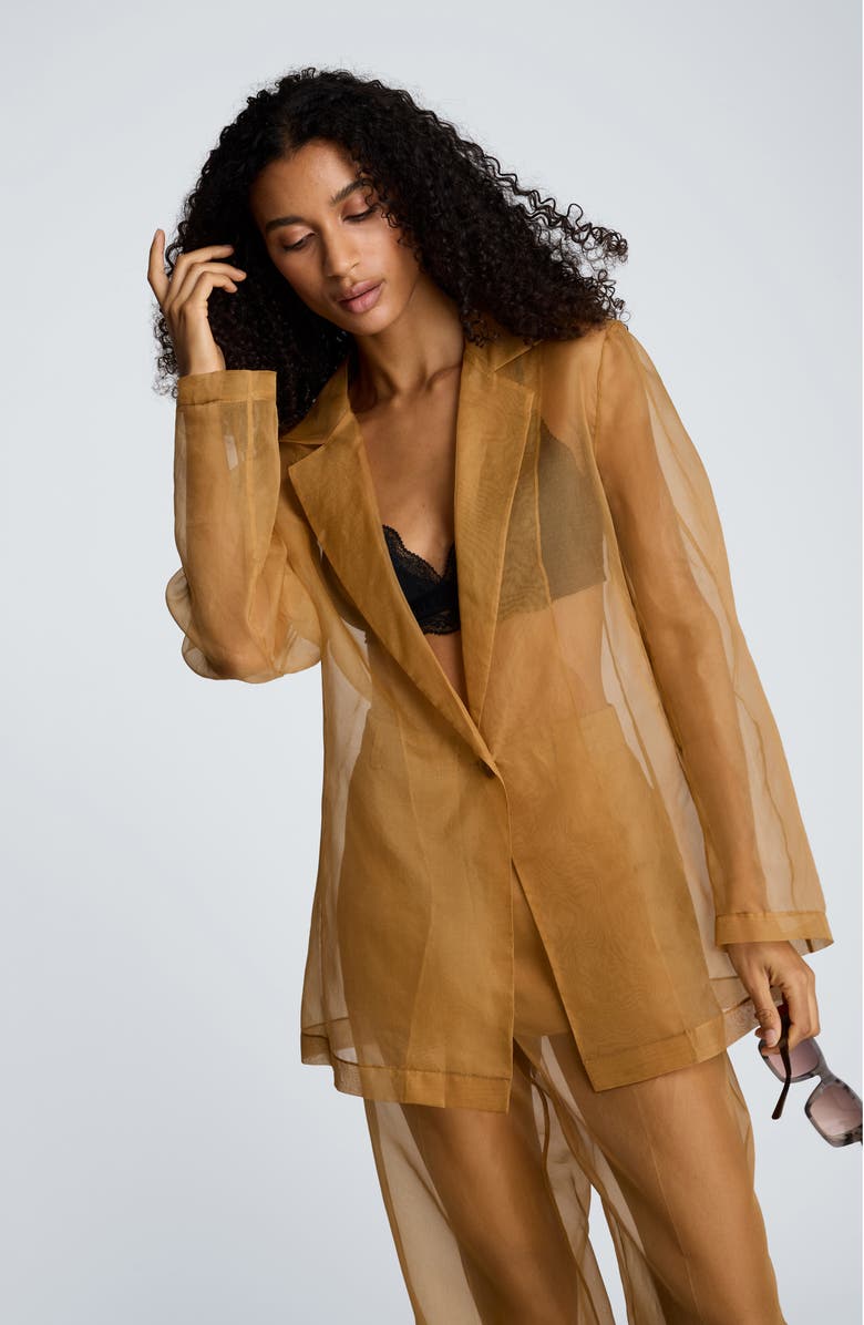 Kenneth Cole One-Button Sheer Jacket, Alternate, color, Mesquite