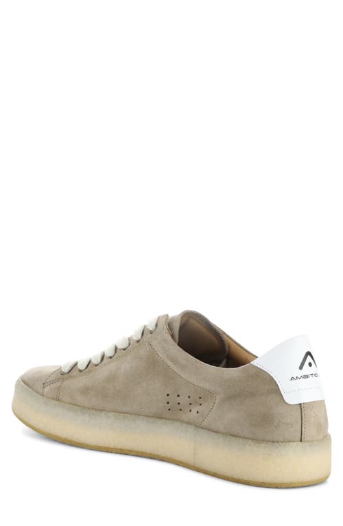 Ambitious Low Top Sneaker In Brown