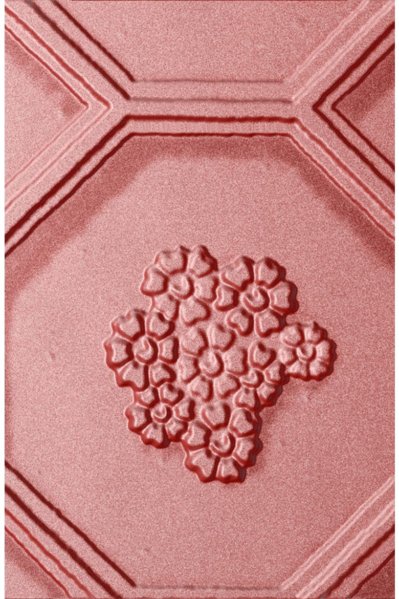 Silk and Bloom Blush Palette, Alternate, color, NO COLOR