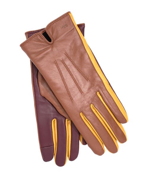 Echo Colorblock Leather Glove