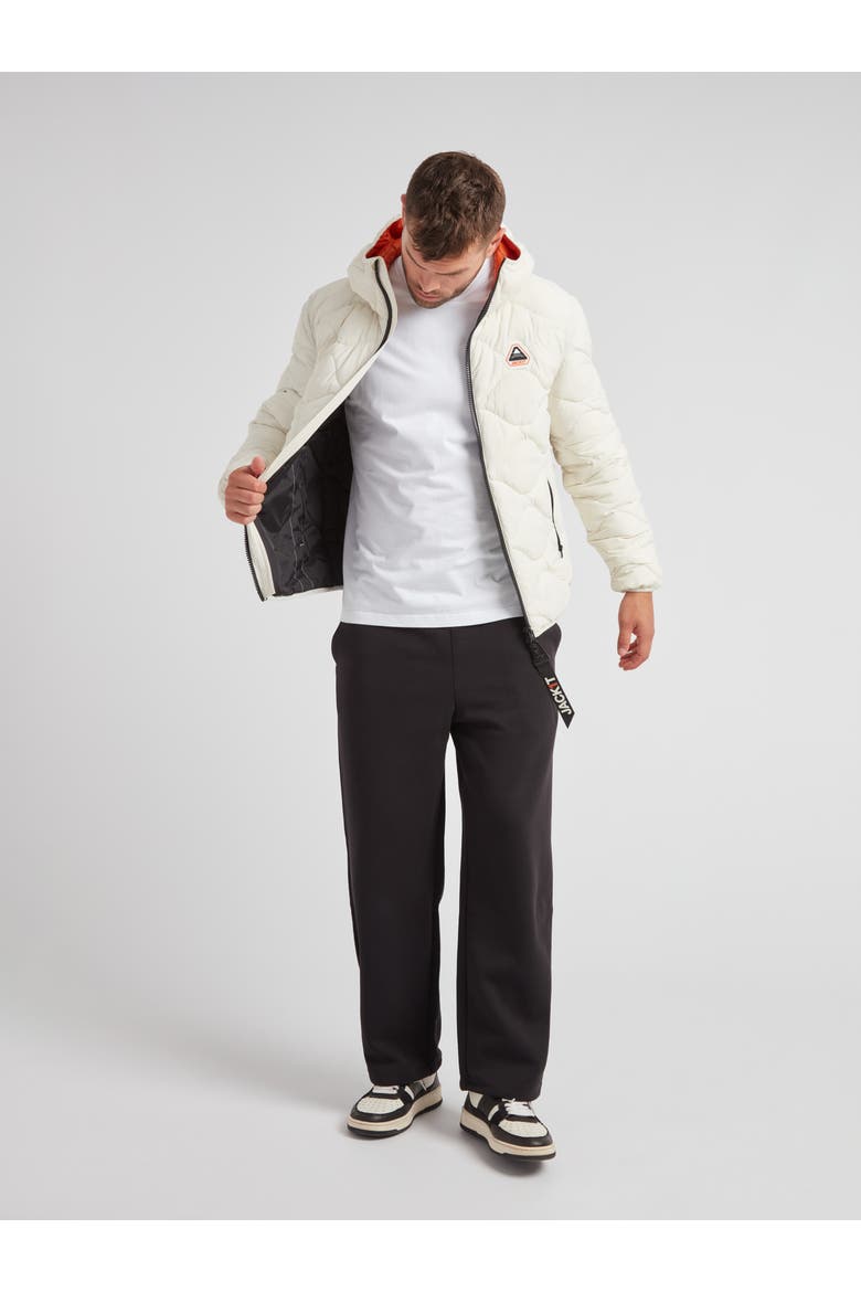 Orb1T Long Sleeve Hooded Jacket, Alternate, color, VINTAGE WHITE