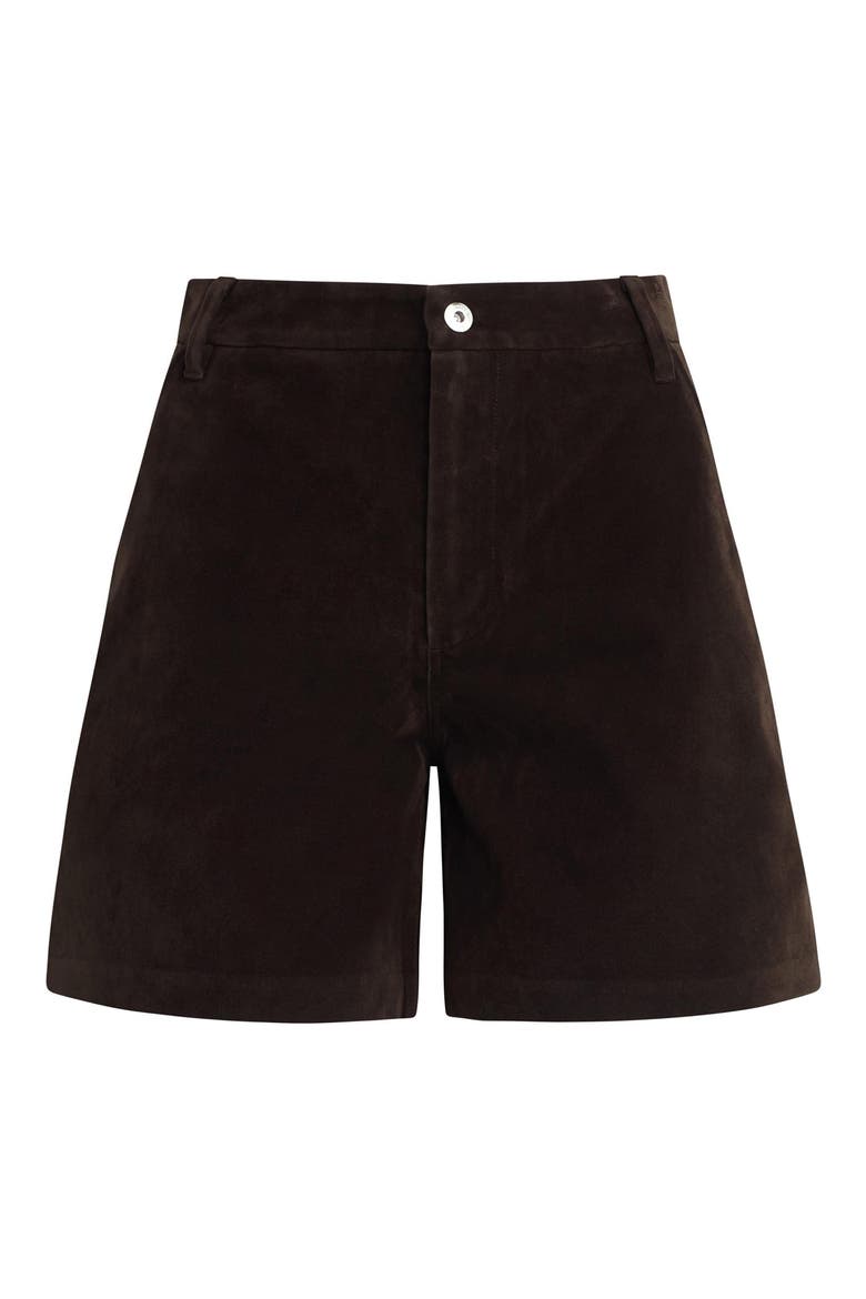 Harlowe Faux Suede Shorts, Alternate, color, DARK CHOCOLATE