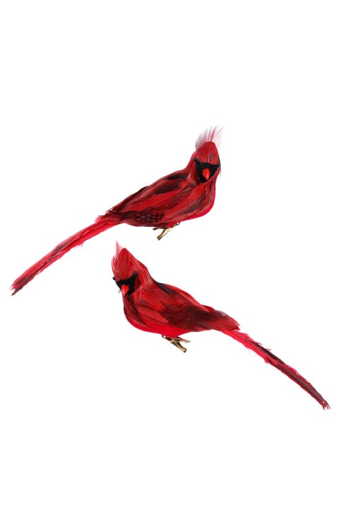Cardinal Décor, Box of 6