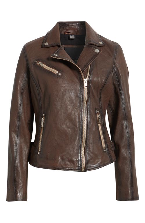 Mauritius Sofia Lambskin Moto Jacket In Brown