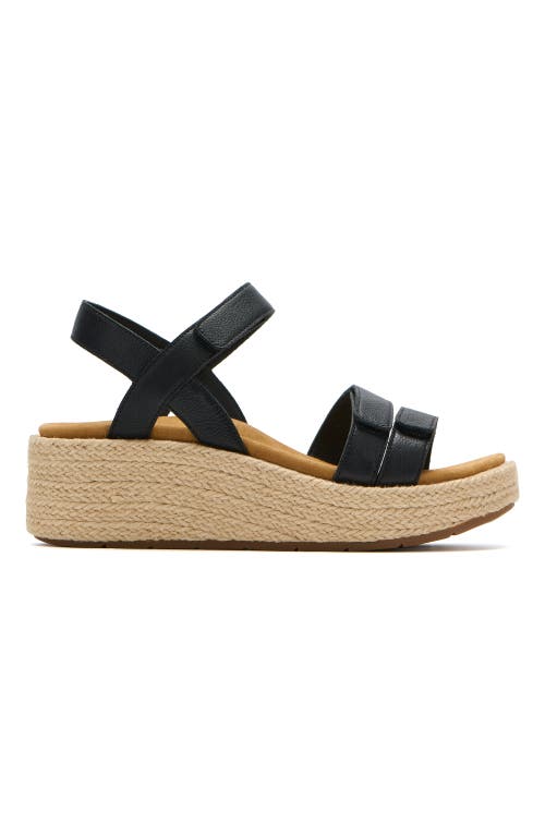 Abeo Solstice Strap In Black - Regular